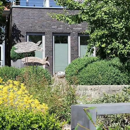 Gartenhaus Mit Dachterrasse Ferienhaus Burg auf Fehmarn